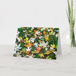 Verspreide Bladeren Feestdagen Kaart