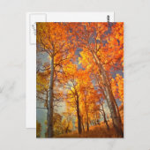 Verspreiding naar Glory Briefkaart (Voorkant / Achterkant)