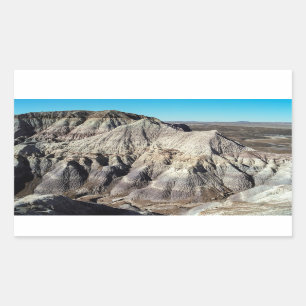 Versteend Bos Blauw Mesa Badlands Woestijn Foto Rechthoekige Sticker