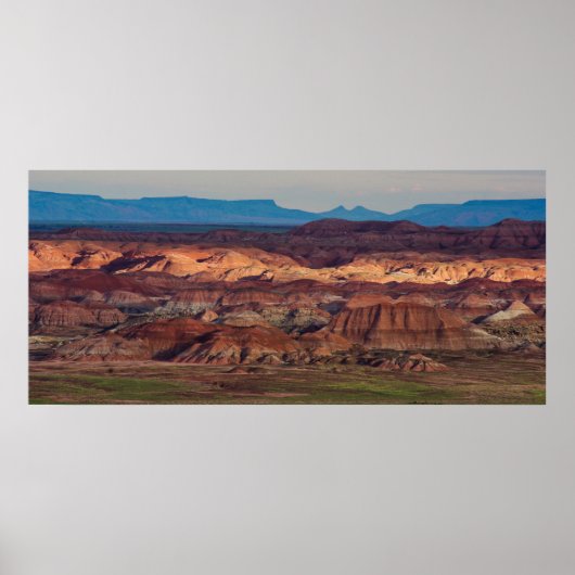 Versteend bos Vista Poster (Voorkant)