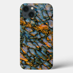 Versteend dinosaurusbot iPhone 13 hoesje
