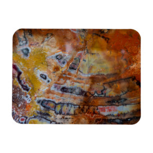 Versteend Hout Bruin Magneet