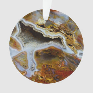 Versteend Hout Met Kristallen Ornament
