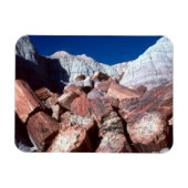 Versteend Hout, Versteend Woud NP, Arizona Magneet (Horizontaal)