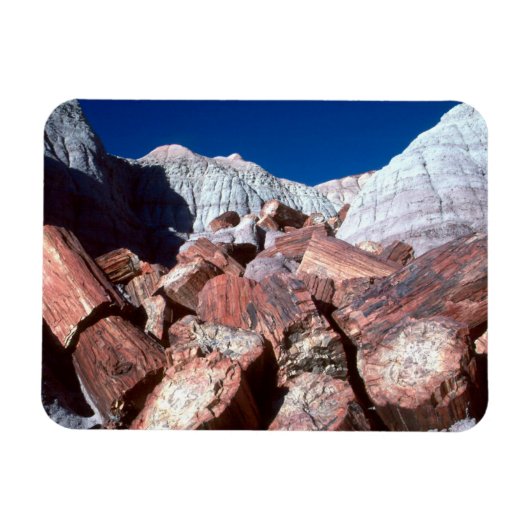 Versteend Hout, Versteend Woud NP, Arizona Magneet (Horizontaal)