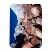 Versteend Hout, Versteend Woud NP, Arizona Magneet (Verticaal)