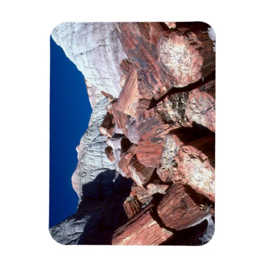 Versteend Hout, Versteend Woud NP, Arizona Magneet (Verticaal)