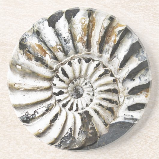 Versteend Nautisch Fossil Beach House Onderzetter (Voorkant)