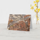 Versteende log Close-up I Kaart (Gele Bloem)