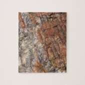 Versteende log Close-up I Legpuzzel (Verticaal)