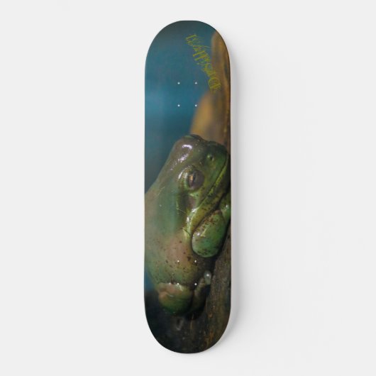 Versteende Pad Skateboard (Voorkant)