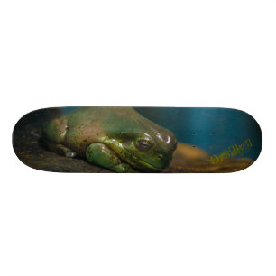 Versteende Pad Skateboard