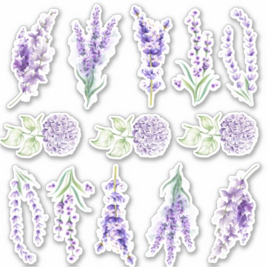 Verstelsticker voor lavendel en hydrangea sticker (Voorkant)