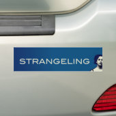 VERSTERKING BUMPERSTICKER (Op auto)