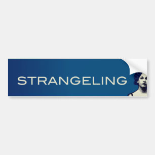 VERSTERKING BUMPERSTICKER