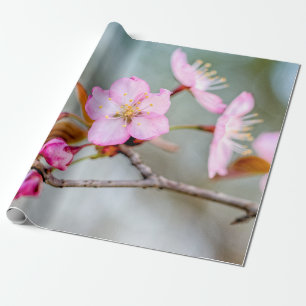 Versterking van de Sakura-bloemen Cadeaupapier