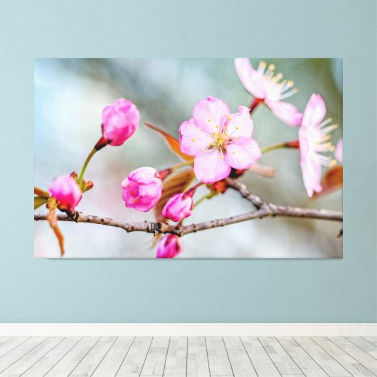 Versterking van de Sakura-bloemen in de lententuin Canvas Afdruk (Insitu (Houten vloer))