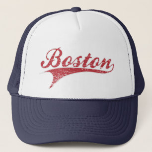  Verstoord Pet Boston Ballpark