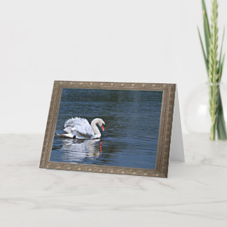 verstoorde de zwaan bevedert 1 notecard kaart