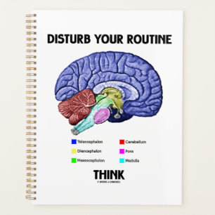 Verstoort uw Routine Denk aan hersenanatomie advie Planner