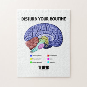Verstoort uw Routine Denk (hersenanatomie) Legpuzzel