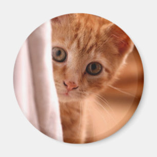 Verstoppertje Kitty koelkastmagneet Magneet