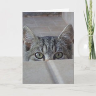 Verstoppertje-poes Verjaardagskaart Kaart
