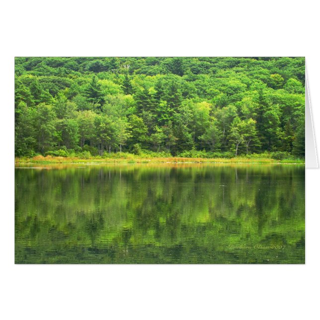 Vert : Couleur du monde (Devant horizontal)