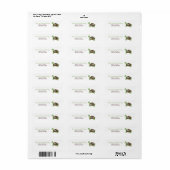 VERT DOT TORTUE ÉTIQUETTES DE ADRESSE IMPRIMANTES (Feuille entière)