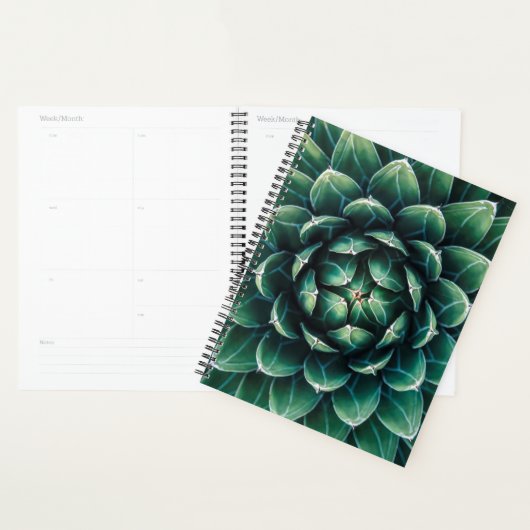 Vert et blanc Succulent (Devant avec enveloppe)