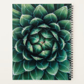 Vert et blanc Succulent (Dos)