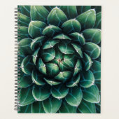 Vert et blanc Succulent (Devant)