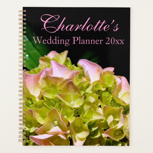 Vert jaune rose Hydrangea rose fleur jaune rose (Devant)