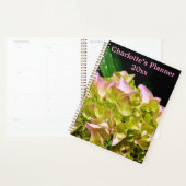 Vert jaune rose Hydrangea rose fleur jaune rose (Devant avec enveloppe)