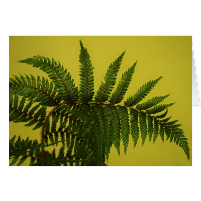 "vert" par Larry Coressel (Devant horizontal)