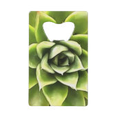 Vert Succulent Gros Plan Cactus (Devant)