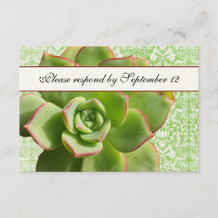 Vert Succulent Vintage Damas ivoire rsvp