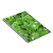 Vert sur le carnet vert (Côté Droit)