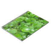 Vert sur le carnet vert (Côté gauche)