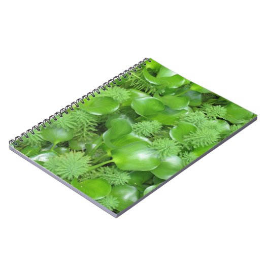 Vert sur le carnet vert (Côté gauche)