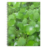 Vert sur le carnet vert (Devant)