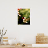 Vertaling van de Hummingbird Poster (Keuken)