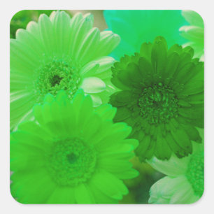 Verte Gerbera Fleurs marguerites autocollants