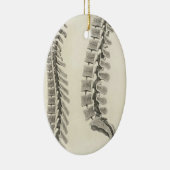 Vertebrae tekening keramisch ornament (Rechts)