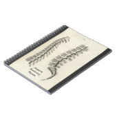 Vertebrae tekening notitieboek (Linkerzijde)