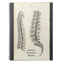 Vertebrae tekening notitieboek