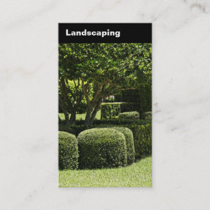 Verticaal landschappelijk gepantserd visitekaartje