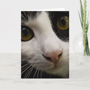Verticaal Wenskaart: Mickey de kat Kaart