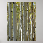 verticale afdruk van spen Trunks Poster (Voorkant)