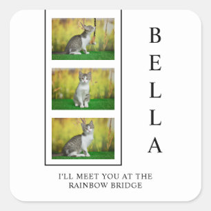 Verticale Pet Memorial Layout met Foto Trio Vierkante Sticker